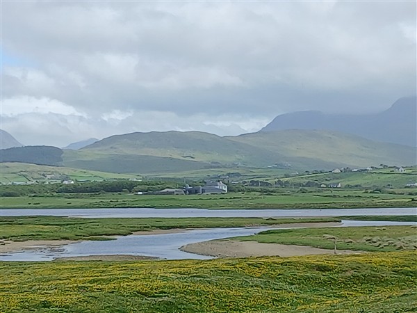 mayo-landscape